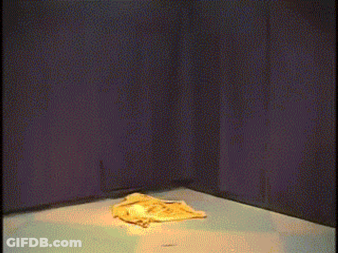 Dual Lightsaber Star Wars Kid GIF