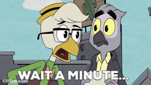 Duck And Owl Saying Wait A Minute GIF