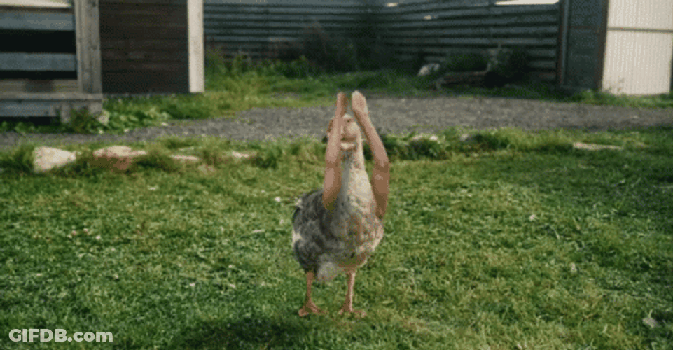 Duck Arm Exercise Dance GIF