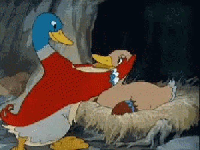 Duck Couple Kissing GIF