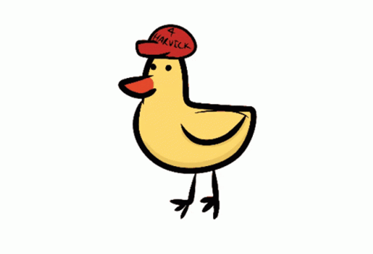 Duck Drinking Busch Light Beer GIF