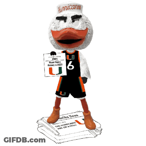 Duck Figurine With Hurricanes Hat GIF