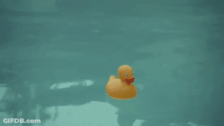 Duck Floating In Pool The End GIF