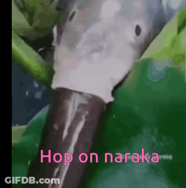 Duck Head Close Up Saying Hop On Naraka GIF