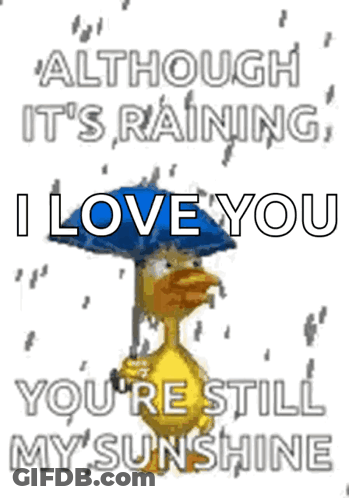 Duck Holding Umbrella In Rain GIF