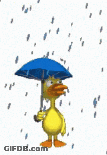 Duck Holding Umbrella In Rain GIF