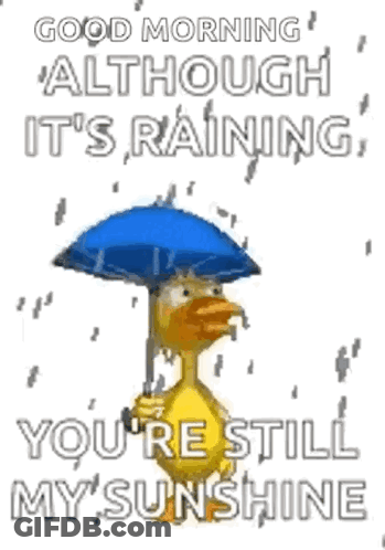 Duck Holding Umbrella In Rain Saying Good Morning GIF