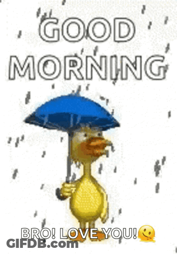 Duck Holding Umbrella Saying Good Morning Bro Love You GIF