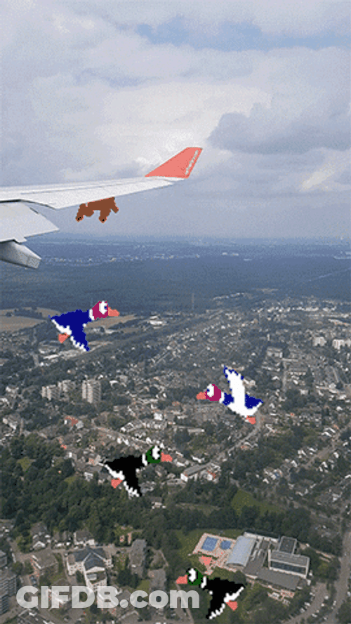 Duck Hunt Airplane Ride GIF