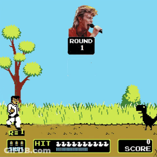 Duck Hunt Fighting Scene Meme GIF