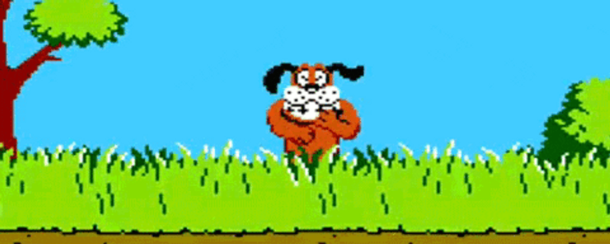 Duck Hunt Game Dog Laughing GIF