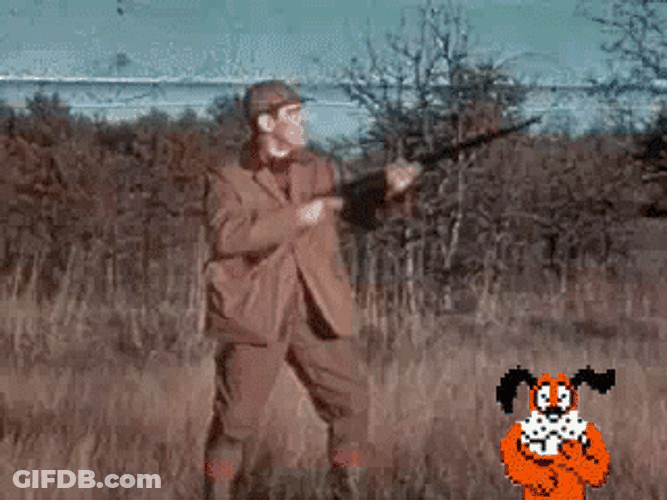 Duck Hunt Gun Control GIF