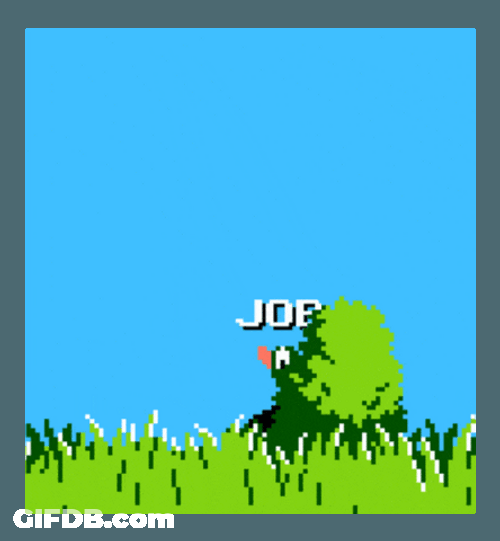 Duck Hunt Job Meme GIF