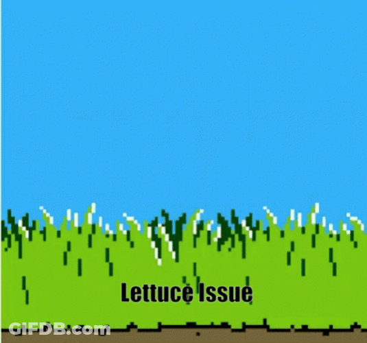 Duck Hunt Lettuce Issue GIF