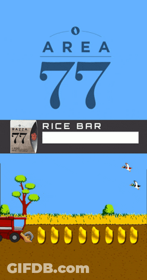 Duck Hunt Rice Farming GIF