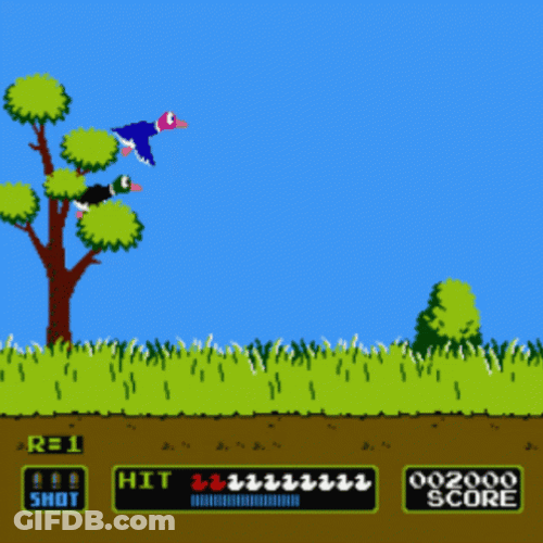 Duck Hunt Shooting Off GIF
