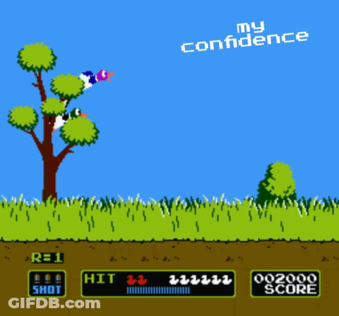 Duck Hunt Video Game My Confidence GIF