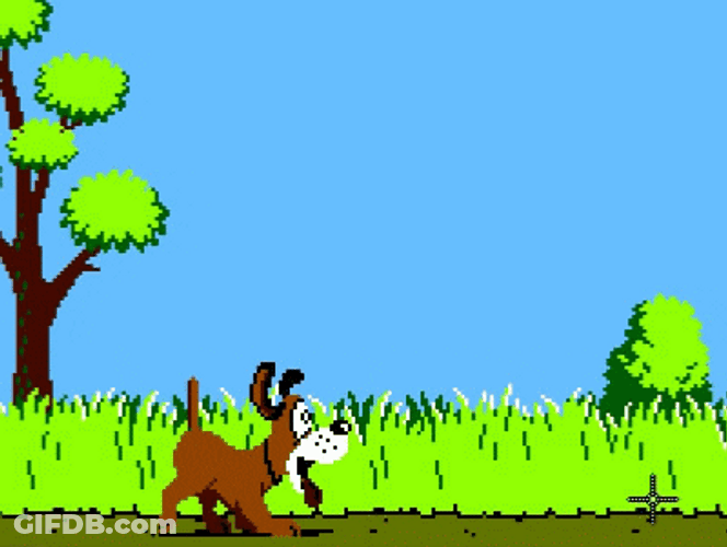 Duck Hunt Video Game GIF