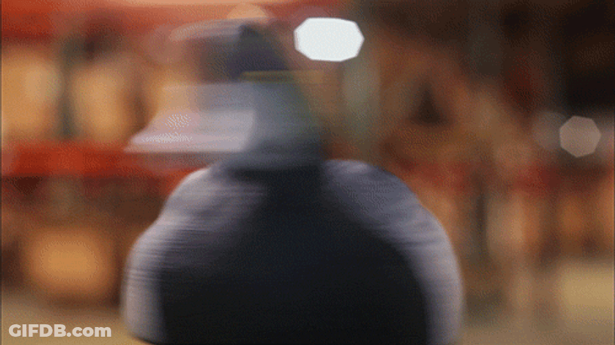 Duck Hunting Bait Rotating GIF