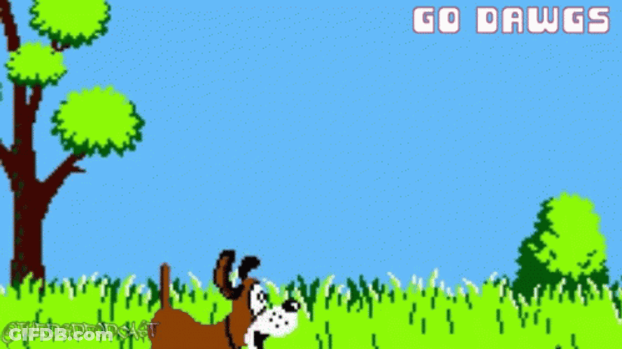 Duck Hunting Dog Game Character GIF