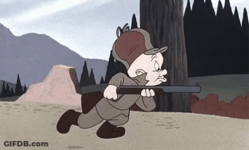Duck Hunting Elmer Fudd With Gun GIF