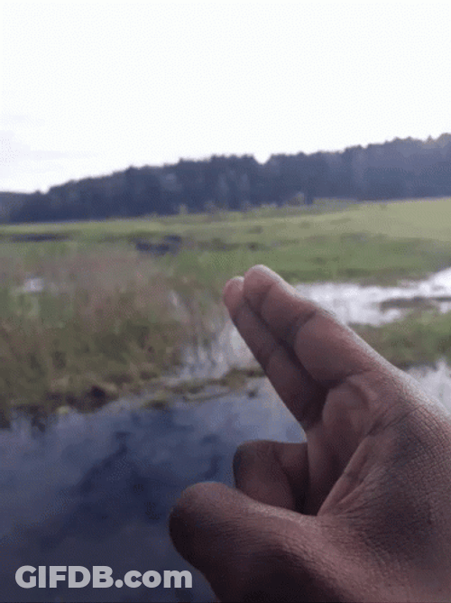 Duck Hunting Finger Sign As Gun GIF