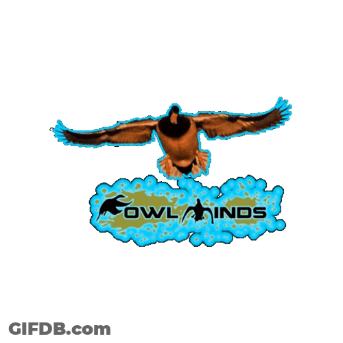 Duck Hunting Fowl Winds Logo GIF