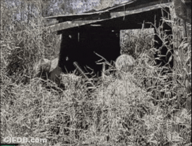 Duck Hunting In Forest Black And White GIF