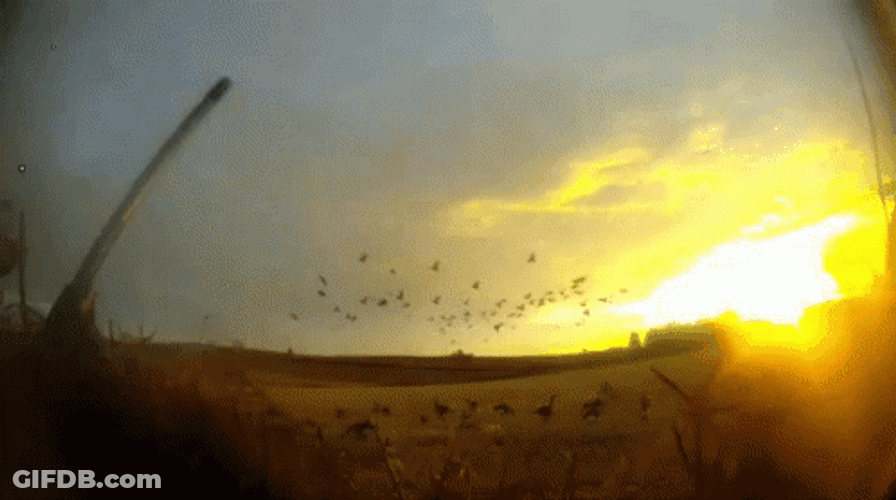 Duck Hunting Men With Gun During Sunset GIF