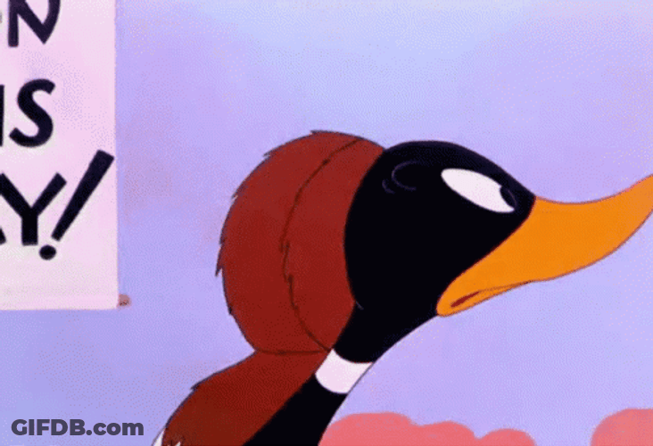 Duck Hunting Season Opens Today GIF