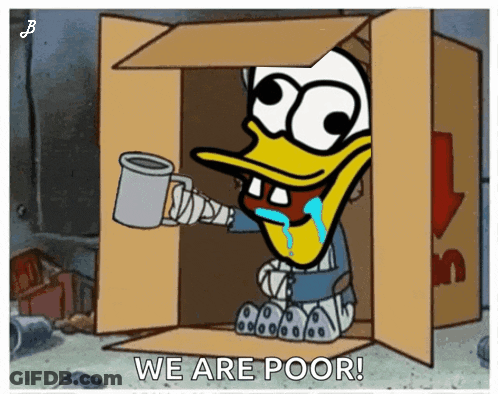 Duck In Cardboard Box We Are Poor GIF