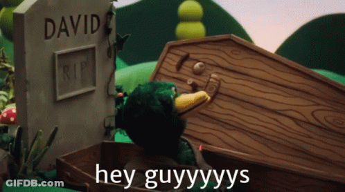 Duck In Coffin Saying Hey Guyys GIF