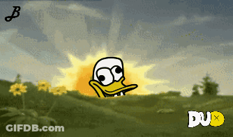 Duck In Field With Sun Behind It GIF