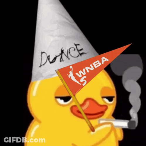 Duck In Party Hat Holding WNBA Flag Smoking GIF