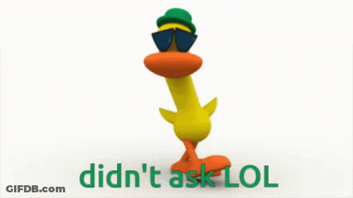 Duck In Sunglasses And Green Hat Saying Didn't Ask LOL GIF