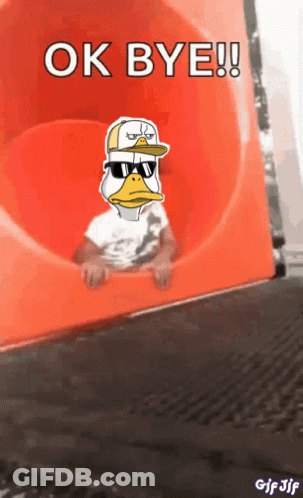 Duck In Sunglasses And Hat On Slide Saying Ok Bye GIF