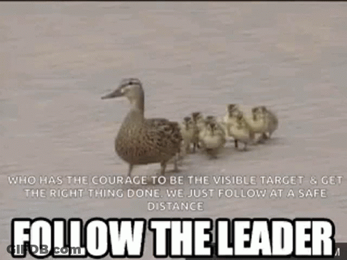 Duck Leading Flock Of Ducklings On Dirt Road GIF