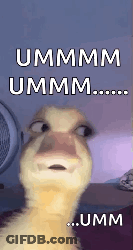 Duck Making Funny Face GIF