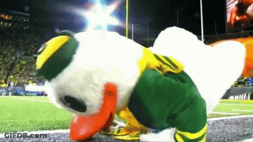 Duck Mascot Crawling On Field GIF