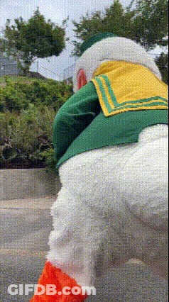 Duck Mascot In Green And Yellow Sailor Costume GIF