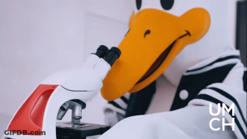 Duck Mascot Looking Through Microscope Um Ch GIF