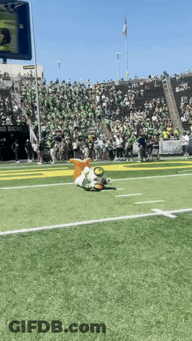 Duck Mascot Lying On Football Field GIF