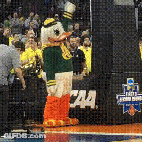 Duck Mascot Standing On Basketball Court GIF