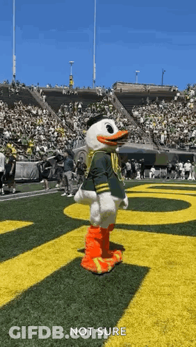Duck Mascot Standing On Football Field GIF
