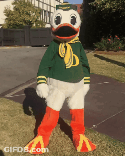 Duck Mascot Wearing Green And Yellow GIF