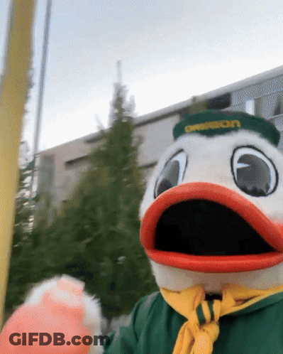 Duck Mascot Wearing Oakland Hat GIF