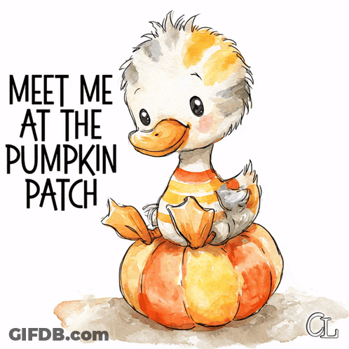Duck On Pumpkin Saying Meet Me At The Pumpkin Patch GIF