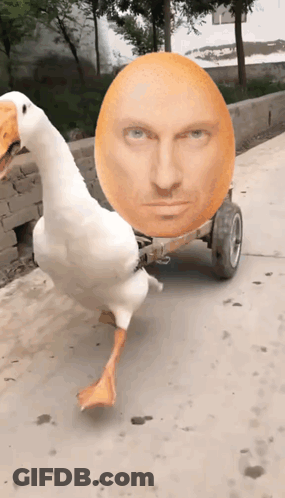 Duck Pulling Cart With Man's Head GIF
