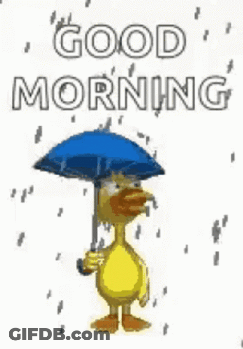 Duck Rainy Good Morning GIF
