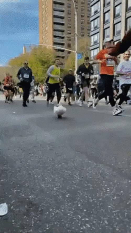 Duck Running Marathon GIF